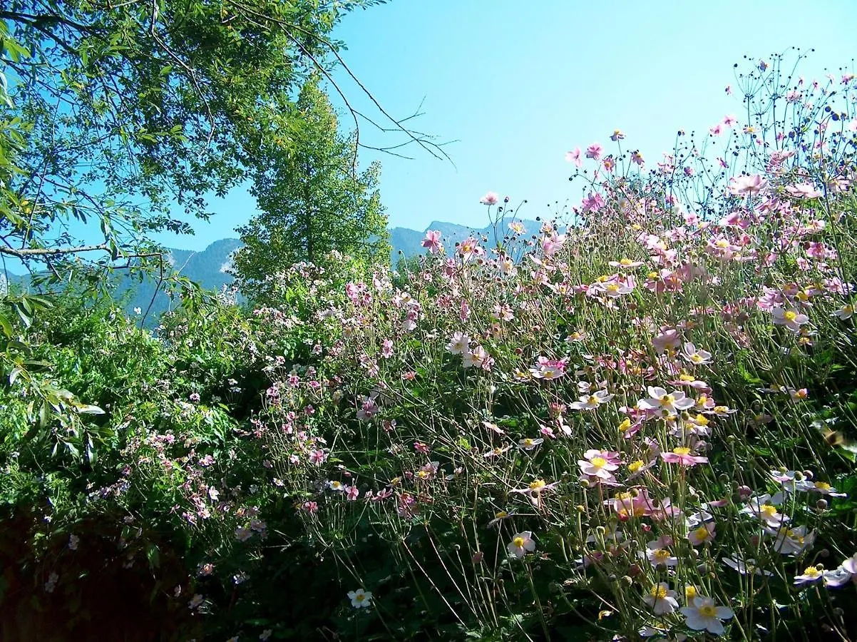Hotel Schlossberghof Marzoll Bad Reichenhall